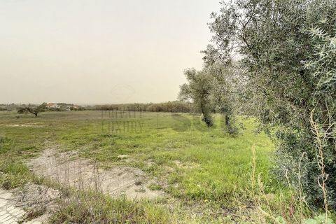 Helårsgrund i Quinta do Anjo, Setubal, Quinta do Anjo - € 475.000 | Ref: 8997 - foto 1