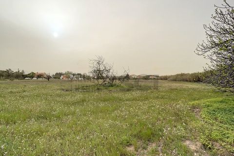 Helårsgrund i Quinta do Anjo, Setubal, Quinta do Anjo - € 475.000 | Ref: 8997 - foto 2