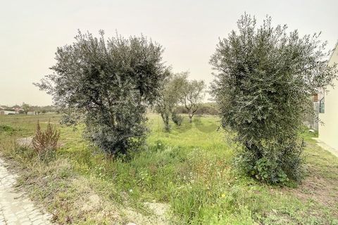Helårsgrund i Quinta do Anjo, Setubal, Quinta do Anjo - € 475.000 | Ref: 8997 - foto 10