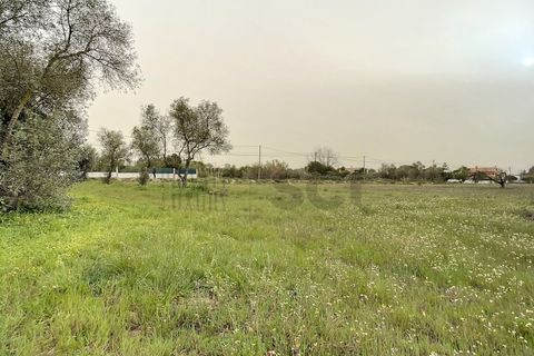 Helårsgrund i Quinta do Anjo, Setubal, Quinta do Anjo - € 475.000 | Ref: 8997 - foto 11