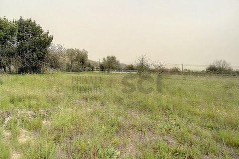 Helårsgrund i Quinta do Anjo, Setubal, Quinta do Anjo - € 475.000 | Ref: 8997 - foto 15