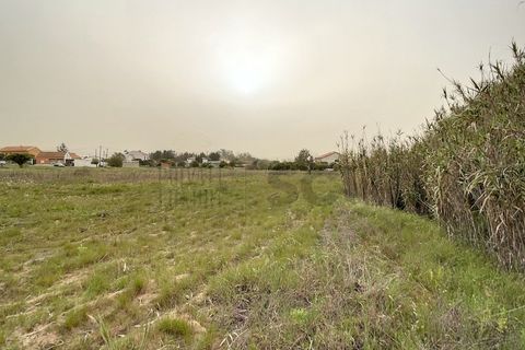 Helårsgrund i Quinta do Anjo, Setubal, Quinta do Anjo - € 475.000 | Ref: 8997 - foto 17