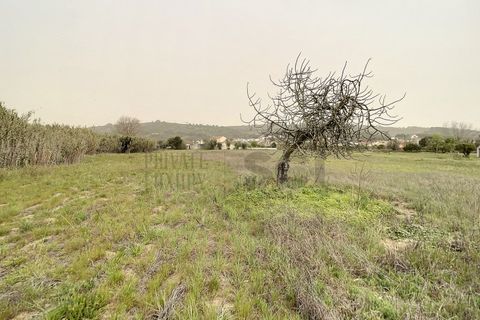 Helårsgrund i Quinta do Anjo, Setubal, Quinta do Anjo - € 475.000 | Ref: 8997 - foto 19