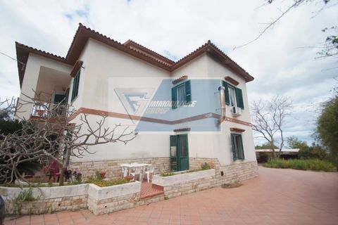 Villa i Siracusa, Siracusa, Siracusa - € 900.000 | Ref: RIF. BEL VCIT 75 - foto 18