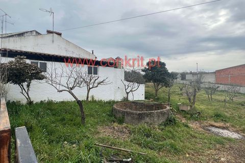 Villa a Alter do Chao, Portalegre, Alter do Chao - € 180.000 | Ref: V22 - foto 4