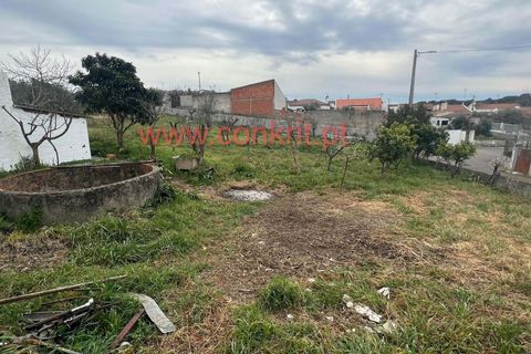 Villa a Alter do Chao, Portalegre, Alter do Chao - € 180.000 | Ref: V22 - foto 5