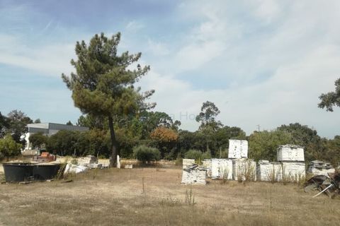 Grond in Fatima, Santarem, Fatima - € 85.000 | Ref: UH-4782 - foto 6