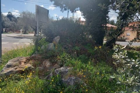 Terra a Fatima, Santarem, Fatima - € 40.000 | Ref: UH-6635 - foto 2