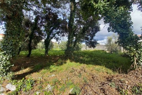 Terra a Fatima, Santarem, Fatima - € 40.000 | Ref: UH-6635 - foto 4