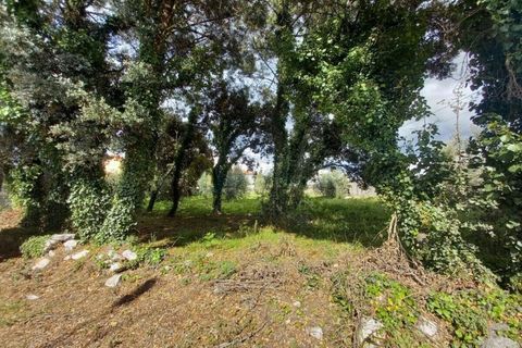 Terra a Fatima, Santarem, Fatima - € 40.000 | Ref: UH-6635 - foto 5