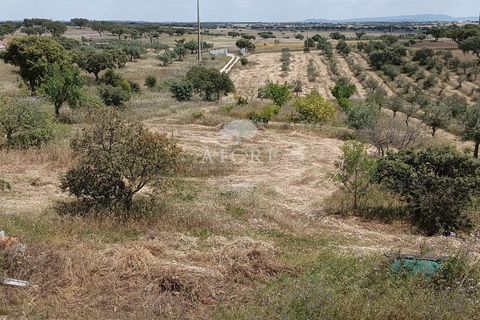 Farm hus i Alandroal, Evora, Alandroal - € 425.000 | Ref: 1692022EM - foto 5