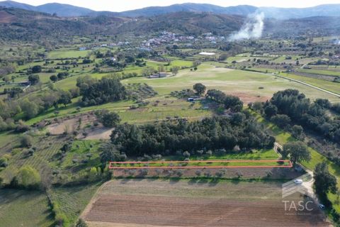 Helårsgrund i Fundao, Castelo Branco, Fundao - € 5.000 | Ref: TER_775 - foto 1