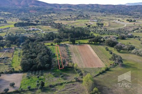 Helårsgrund i Fundao, Castelo Branco, Fundao - € 5.000 | Ref: TER_775 - foto 2