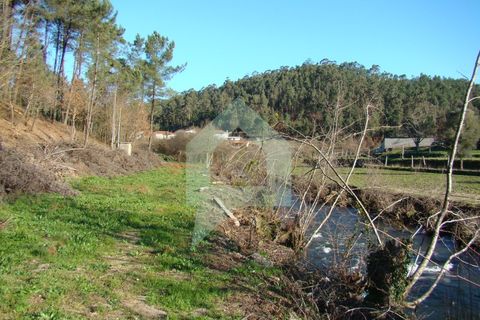 Terra a Barcelos, Braga, Barcelos - € 60.000 | Ref: 1781. - foto 2