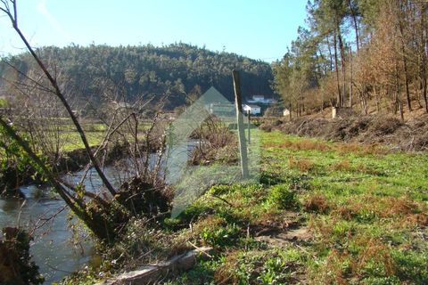 Terra a Barcelos, Braga, Barcelos - € 60.000 | Ref: 1781. - foto 3