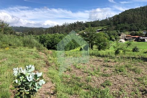 Terra a Barcelos, Braga, Barcelos - € 60.000 | Ref: 1781. - foto 4