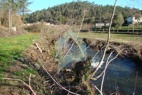 Terra a Barcelos, Braga, Barcelos - € 60.000 | Ref: 1781. - foto 5