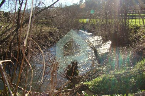 Terra a Barcelos, Braga, Barcelos - € 60.000 | Ref: 1781. - foto 6