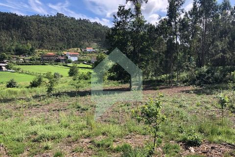 Terra a Barcelos, Braga, Barcelos - € 60.000 | Ref: 1781. - foto 7