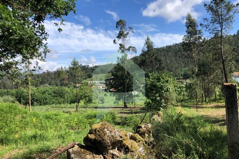 Terra a Barcelos, Braga, Barcelos - € 60.000 | Ref: 1781. - foto 8