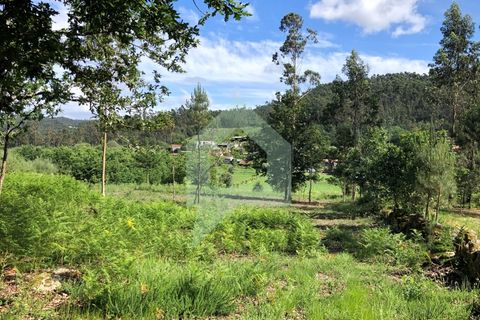 Terra a Barcelos, Braga, Barcelos - € 60.000 | Ref: 1781. - foto 9