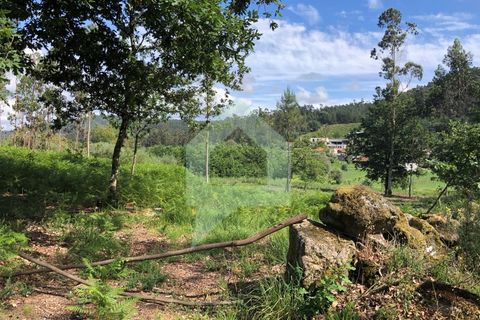 Terra a Barcelos, Braga, Barcelos - € 60.000 | Ref: 1781. - foto 10