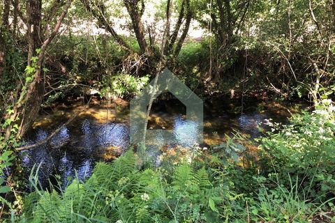 Terra a Barcelos, Braga, Barcelos - € 60.000 | Ref: 1781. - foto 20
