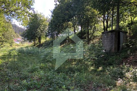 Terra a Barcelos, Braga, Barcelos - € 60.000 | Ref: 1781. - foto 23