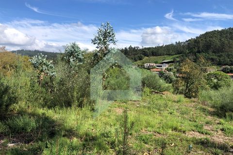 Terra a Barcelos, Braga, Barcelos - € 60.000 | Ref: 1781. - foto 25
