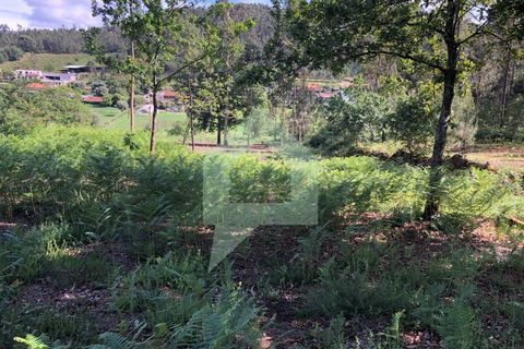 Terra a Barcelos, Braga, Barcelos - € 60.000 | Ref: 1781. - foto 26