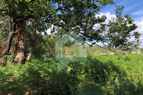 Terra a Barcelos, Braga, Barcelos - € 60.000 | Ref: 1781. - foto 27