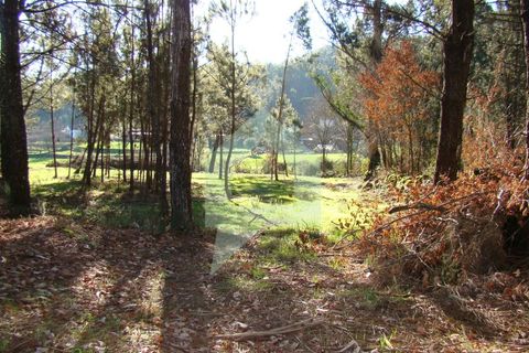 Terra a Barcelos, Braga, Barcelos - € 60.000 | Ref: 1781. - foto 29