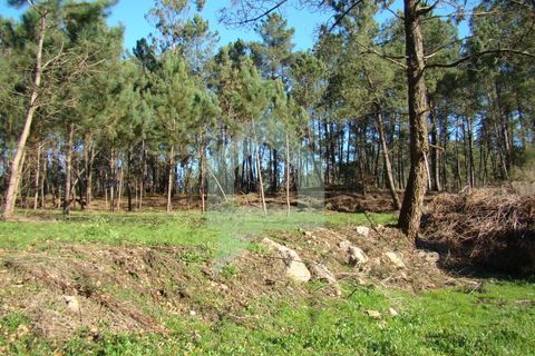Terra a Barcelos, Braga, Barcelos - € 60.000 | Ref: 1781. - foto 31
