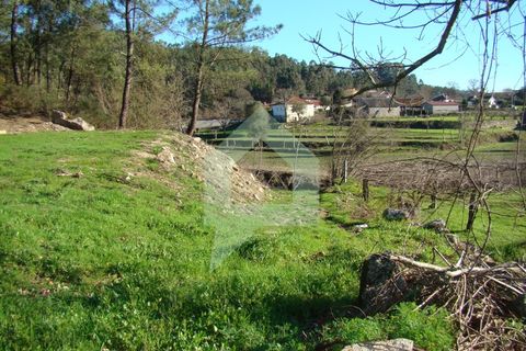 Terra a Barcelos, Braga, Barcelos - € 60.000 | Ref: 1781. - foto 33