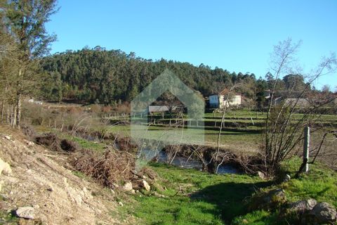 Terra a Barcelos, Braga, Barcelos - € 60.000 | Ref: 1781. - foto 34