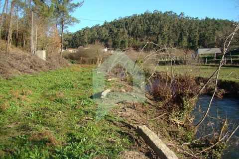Terra a Barcelos, Braga, Barcelos - € 60.000 | Ref: 1781. - foto 36