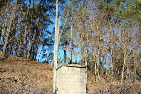 Terra a Barcelos, Braga, Barcelos - € 60.000 | Ref: 1781. - foto 37