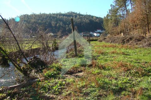 Terra a Barcelos, Braga, Barcelos - € 60.000 | Ref: 1781. - foto 38