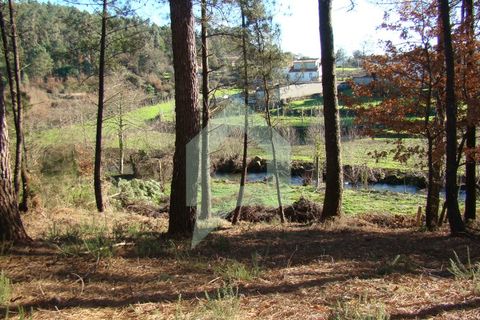 Terra a Barcelos, Braga, Barcelos - € 60.000 | Ref: 1781. - foto 41