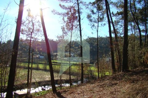 Terra a Barcelos, Braga, Barcelos - € 60.000 | Ref: 1781. - foto 44