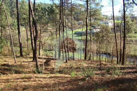 Terra a Barcelos, Braga, Barcelos - € 60.000 | Ref: 1781. - foto 45