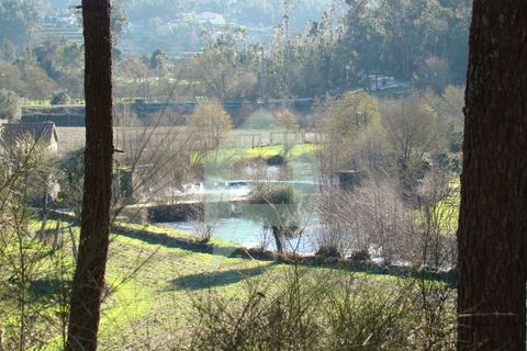 Terra a Barcelos, Braga, Barcelos - € 60.000 | Ref: 1781. - foto 48