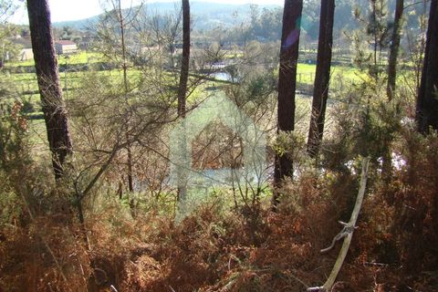 Terra a Barcelos, Braga, Barcelos - € 60.000 | Ref: 1781. - foto 49