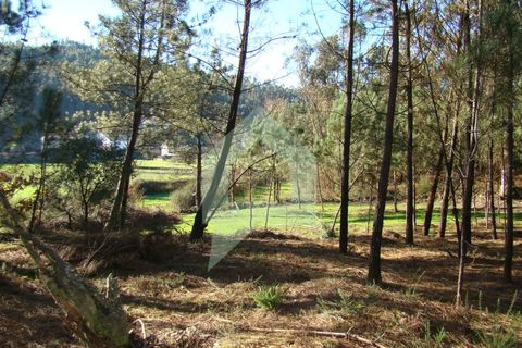Terra a Barcelos, Braga, Barcelos - € 60.000 | Ref: 1781. - foto 50