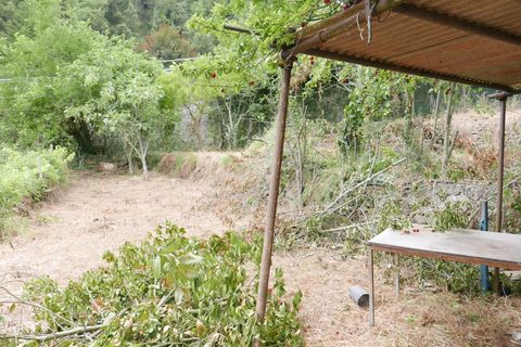 Terra a Soldano, Imperia, Soldano - € 11.500 | Ref: 6988399 - foto 2