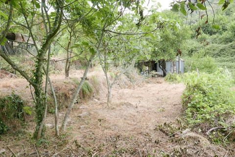 Terra a Soldano, Imperia, Soldano - € 11.500 | Ref: 6988399 - foto 3