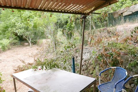 Terra a Soldano, Imperia, Soldano - € 11.500 | Ref: 6988399 - foto 4