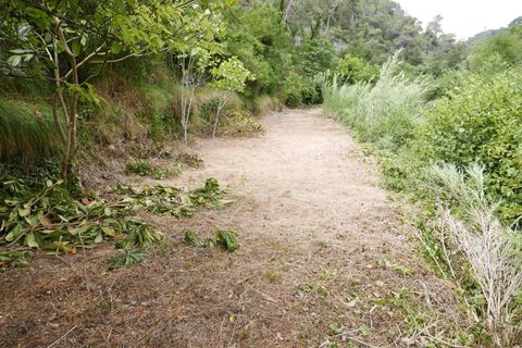 Terra a Soldano, Imperia, Soldano - € 11.500 | Ref: 6988399 - foto 5