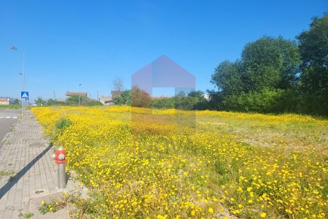 Helårsgrund i Vila Verde, Braga, Vila Verde - € 52.500 | Ref: 07619 - foto 10