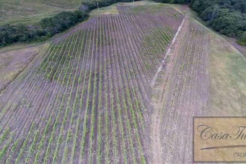Villa a Lajatico, Pisa, Lajatico - € 1.800.000 | Ref: v4793v-x - foto 2